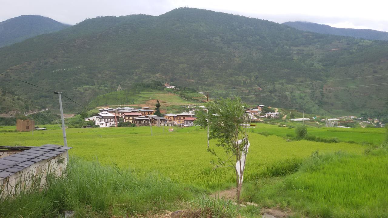 Chimi Lhakhang Village Homestay Punākha Exterior foto